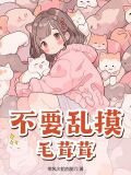 20毛茸茸