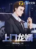 上门女婿叶辰免费全文阅读完整版 小说